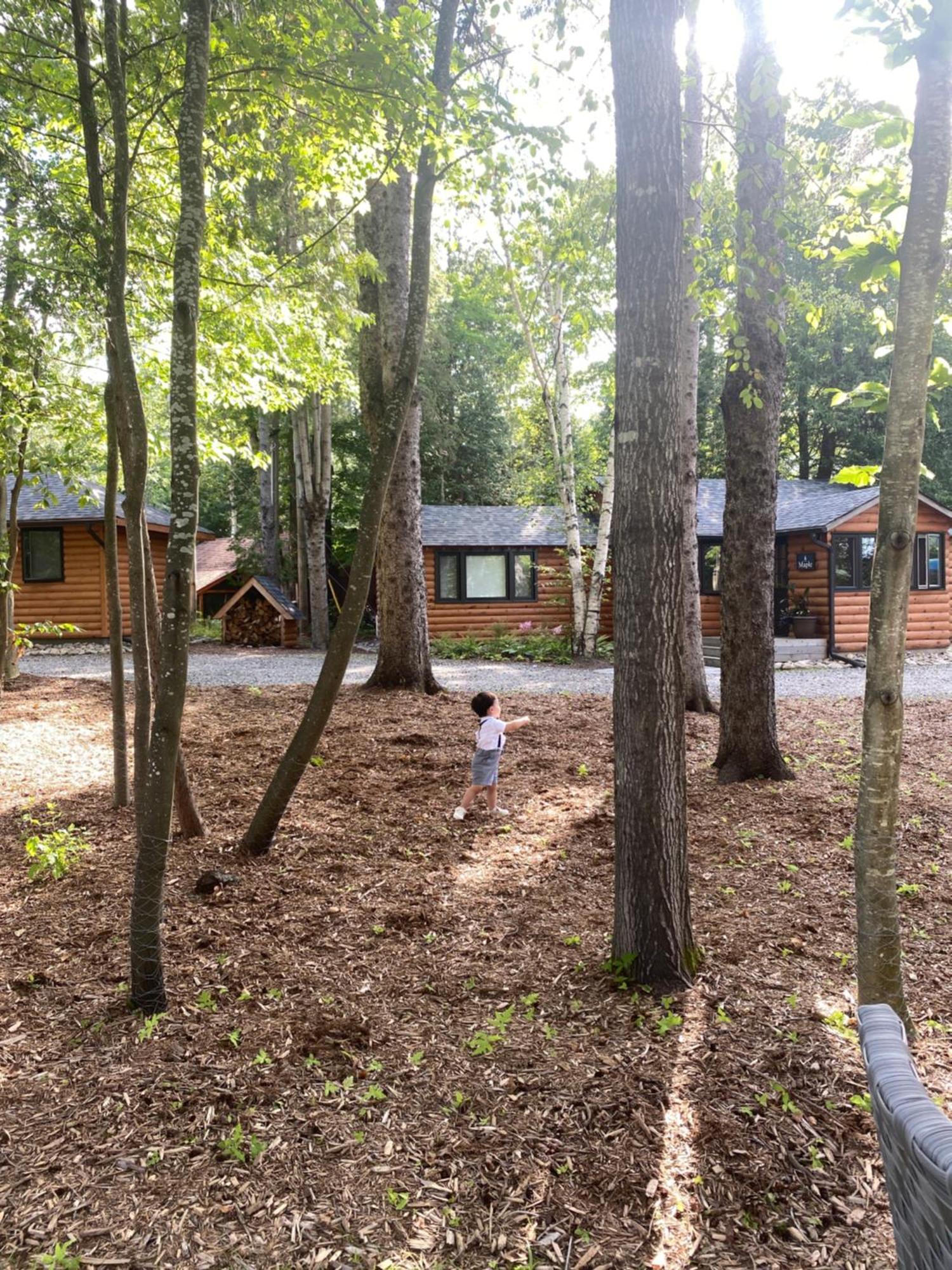 מלון Minden Haliburton Post House מראה חיצוני תמונה